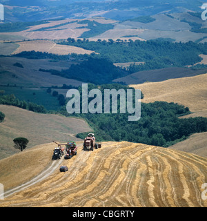 Céréales matériel roulant des terres agricoles dans l'Volterra, Italie, avec des moissonneuses-batteuses Banque D'Images