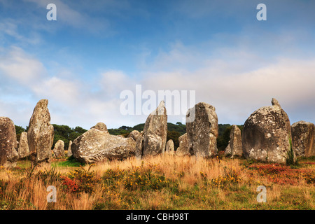 Certains des 3000 mégalithes préhistoriques de Carnac, Bretagne, France, le long d'une soirée d'automne. Banque D'Images