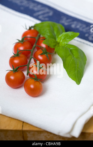 Tomates cerise sur la vigne avec des feuilles de basilic sur un torchon blanc Banque D'Images