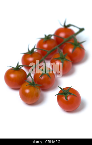 Tomates cerise sur la découpe de la vigne Banque D'Images