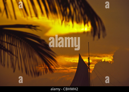 Tour de la voile au coucher du soleil sur la lagune Nichupté à Cancun, Mexique Banque D'Images