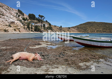 Les bateaux de pêche et de dormir sur les rives du lac Titicaca, Isla del Sol, Bolivie Banque D'Images