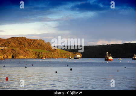 Salcombe Harbour dans le sud du Devon England Uk Banque D'Images