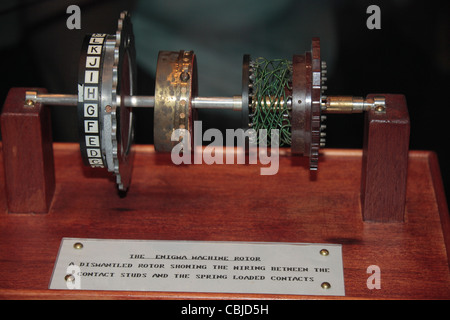 Un rotor de la machine Enigma sur l'écran montrant le câblage interne à Bletchley Park, Bletchley. Le Buckinghamshire, Royaume-Uni. Banque D'Images