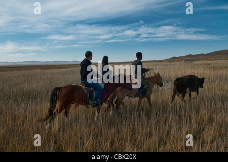 Les cavaliers dans le désert de Gobi de Mongolie Banque D'Images