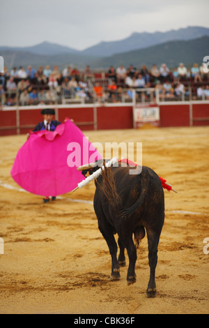 Corrida à Alpedrete, Communauté de Madrid, Espagne Banque D'Images