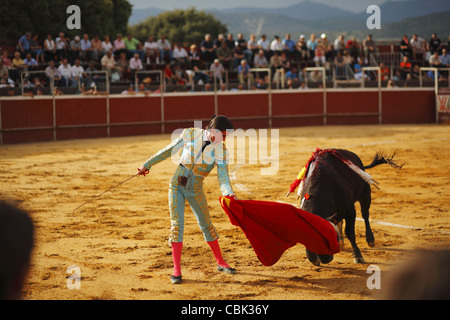 Corrida à Alpedrete, Communauté de Madrid, Espagne Banque D'Images