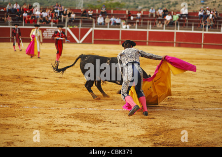 Corrida à Alpedrete, Communauté de Madrid, Espagne Banque D'Images