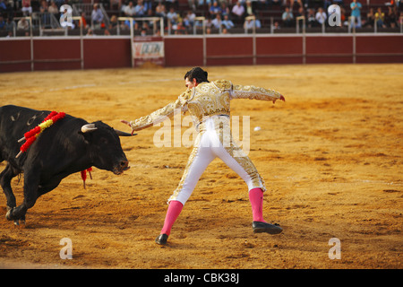 Corrida à Alpedrete, Communauté de Madrid, Espagne Banque D'Images