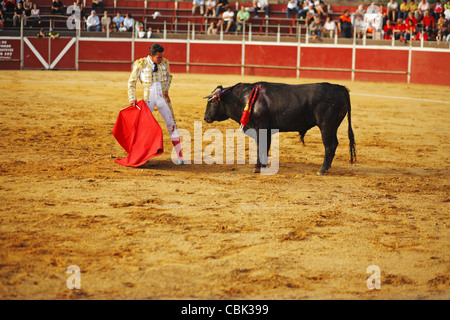 Corrida à Alpedrete, Communauté de Madrid, Espagne Banque D'Images