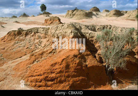 Murs de Chine au lac Mungo, un lac asséché dans l'Outback du sud-ouest de la Nouvelle-Galles du Sud, Australie Banque D'Images