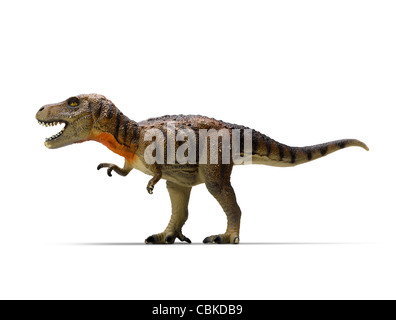 Tyrannosaurus-rex (clipping path) sur fond blanc Banque D'Images