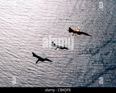 Un F-5F Tiger II, F-5E Tiger II et A-4 Skyhawk. Banque D'Images