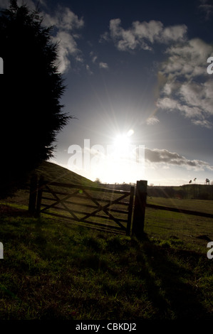 Field gate et soleil d'hiver campagne du Shropshire Banque D'Images