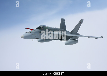 McDonnell Douglas F/A-18 Hornet de l'Armée de l'Air Finlandaise. Banque D'Images