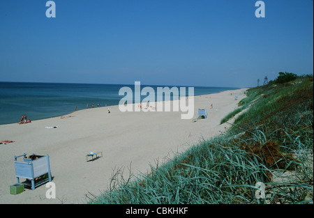 La plage de sable de la mer Baltique de Nida (Nidden) sur l'isthme de Courlande en bordure de la Lagune de Courlande en Lituanie Banque D'Images