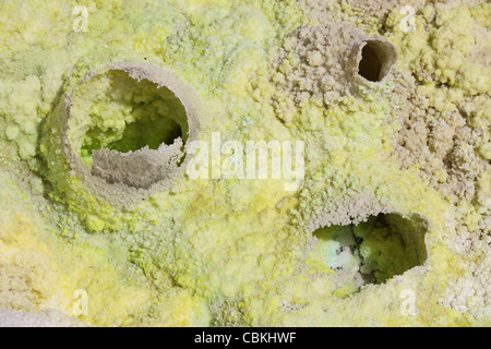 Zone géothermique Dallol, en forme d'oeuf les dépôts de fumerolles dans des gisements de sel de saumure hot springs, dépression Danakil, l'Éthiopie. Banque D'Images