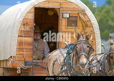 Muleskinner équitation sur un chariot couvert dans la ville de rochers Réserve Nationale et State Park dans le comté de Cassia, Florida, USA. M. Banque D'Images