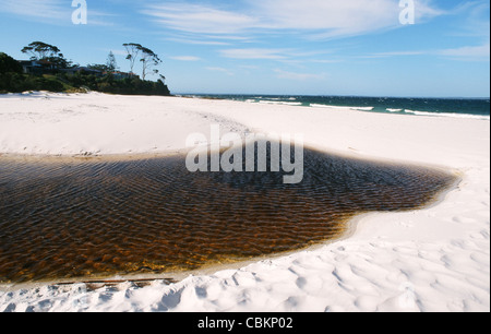 Hyams Beach à Jervis Bay, sur la côte sud de la Nouvelle-Galles du Sud, Australie, est considérée comme la plus blanche beach sur la terre Banque D'Images