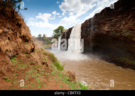 Avis de Tis Isat, les chutes du Nil bleu près de Bahir Dar, le nord de l'Éthiopie, l'Afrique. Banque D'Images