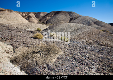 Rocky Hill en désert, la vallée de la mort, États-Unis Banque D'Images