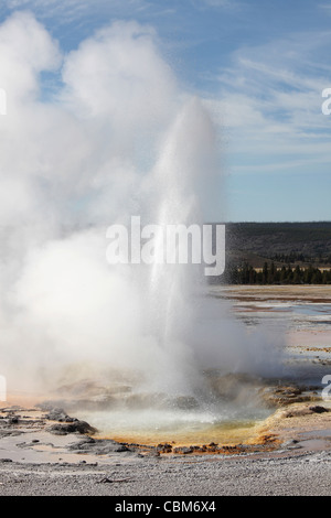 Clepsydre, Geyser Geyser Basin inférieur zone géothermique, la Caldeira de Yellowstone, le Parc National de Yellowstone, Wyoming. Banque D'Images