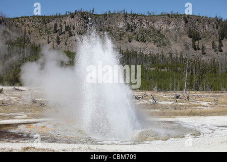 Jewel Geyser, Biscuit Basin, Upper Geyser Basin, zone géothermique caldeira de Yellowstone, le Parc National de Yellowstone, Wyoming. Banque D'Images