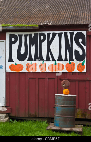 États-unis, Californie, côte centrale, Swanton, signe à pumpkin farm Banque D'Images