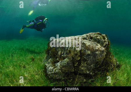 La plongée dans le lac Vert, Tragoess, Styrie, Autriche Banque D'Images