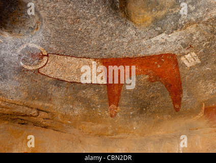 Laas Geel Rock Art des grottes, des peintures illustrant les vaches Somaliland Banque D'Images