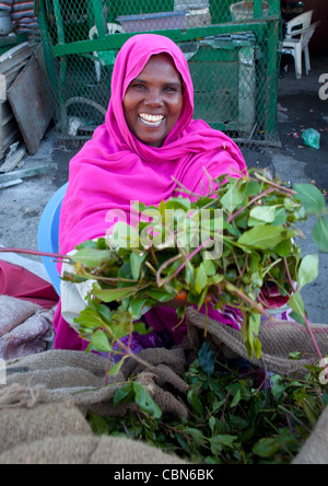 Boroma Femme Vendeur de khat dans une rue de Boorama Somaliland Banque D'Images