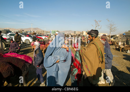 Les gens dans le marché de bétail et de moutons à Kaboul (Afghanistan) Banque D'Images