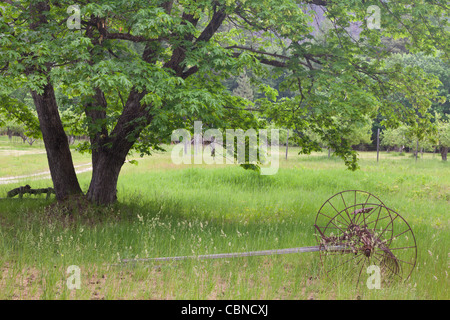 Domaine de la ferme historique, Buckner et verger Homestead North Cascades National Park, Washington Banque D'Images