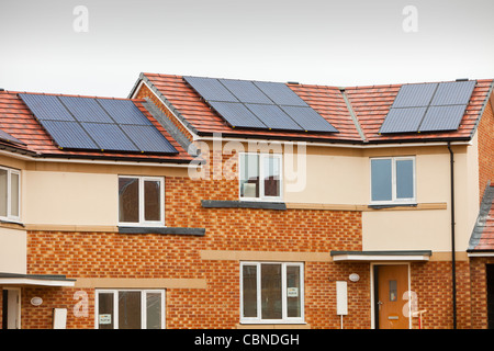 De nouvelles maisons en construction verte à la périphérie de Sunderland, Royaume-Uni. Banque D'Images