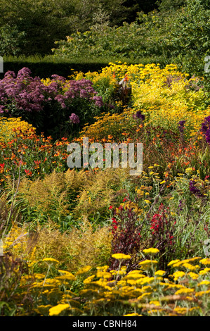 Le jardin chaud en septembre, RHS Rosemoor, Devon, Angleterre, Royaume-Uni Banque D'Images
