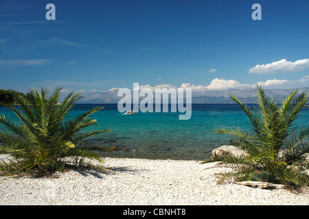 Plage Près de Vrila camping dans la partie sud de Orebic, Croatie Banque D'Images