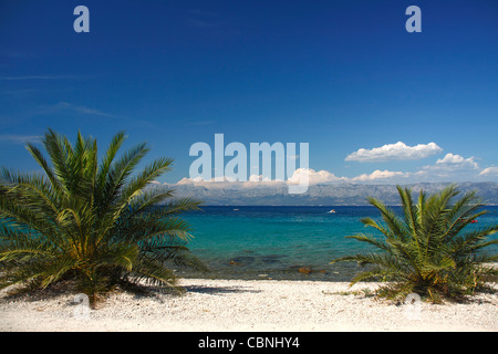 Plage Près de Vrila camping dans la partie sud de Orebic, Croatie Banque D'Images