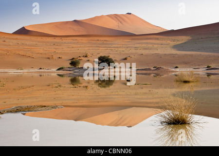 Dunes de sable et à l'étang du parc de Namib Naukluft Sossusvlei, Namibie, Banque D'Images