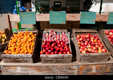 Stand de fruits en bordure de route près de Fresno en Californie Centreville sur route pour Kings Canyon National Park Banque D'Images