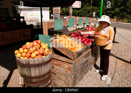 Stand de fruits en bordure de route près de Fresno en Californie Centreville sur route pour Kings Canyon National Park Banque D'Images