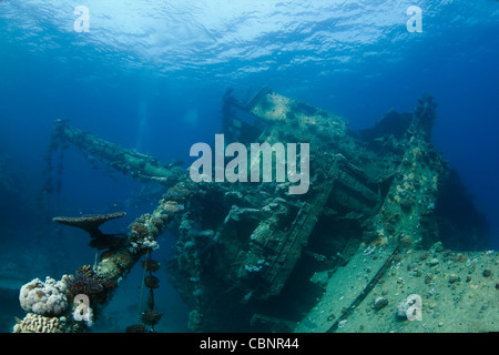 L'épave à Abu Ghusoon près de Marsa Alam, sud de la mer Rouge, Egypte Banque D'Images