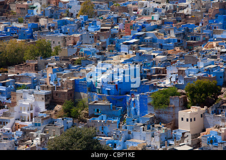 La ville bleue de Brahman, Brahmpuri, région de Jodhpur au Rajasthan, Inde du Nord Banque D'Images