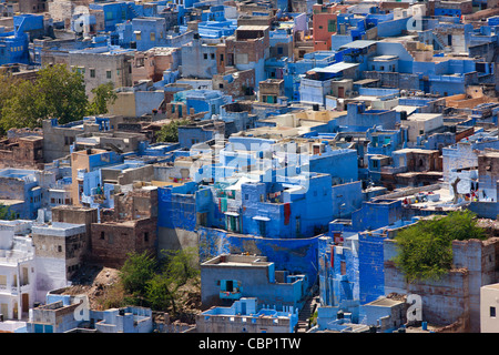 La ville bleue de Brahman, Brahmpuri, région de Jodhpur au Rajasthan, Inde du Nord Banque D'Images