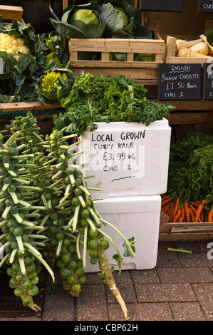 Curiy locaux cultivés pour la vente de kale au Royaume-Uni Banque D'Images