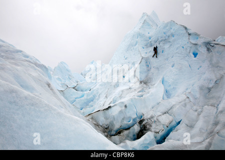 Homme de grimper sur le glacier Perito Moreno. Le Parc National Los Glaciares, El Calafate, province de Santa Cruz. La Patagonie. L'Argentine. Banque D'Images