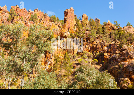 Les falaises accidentées dans Warren Gorge près de Quorn dans la chaîne de Flinders en Australie du Sud, Australie outback Banque D'Images