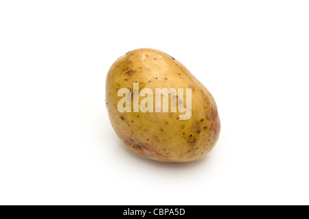Pomme de terre isolé sur fond blanc Banque D'Images