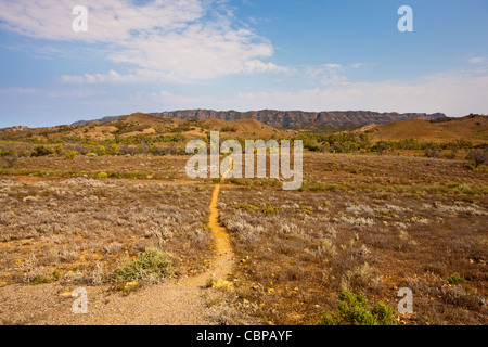 La voie menant à la plage d'un aîné sur Country Comfort Adelaide Station dans la chaîne de Flinders en Australie du Sud, Australie outback Banque D'Images