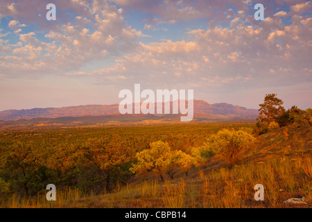 Tôt le matin, plus de lumière vont de la gamme Ulowona Aîné dans Rawnsley Park dans la chaîne de Flinders en Australie du Sud, Australie outback Banque D'Images