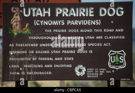 La protection de l'Utah signe expliquant Chien de prairie. L'Utah. USA Banque D'Images